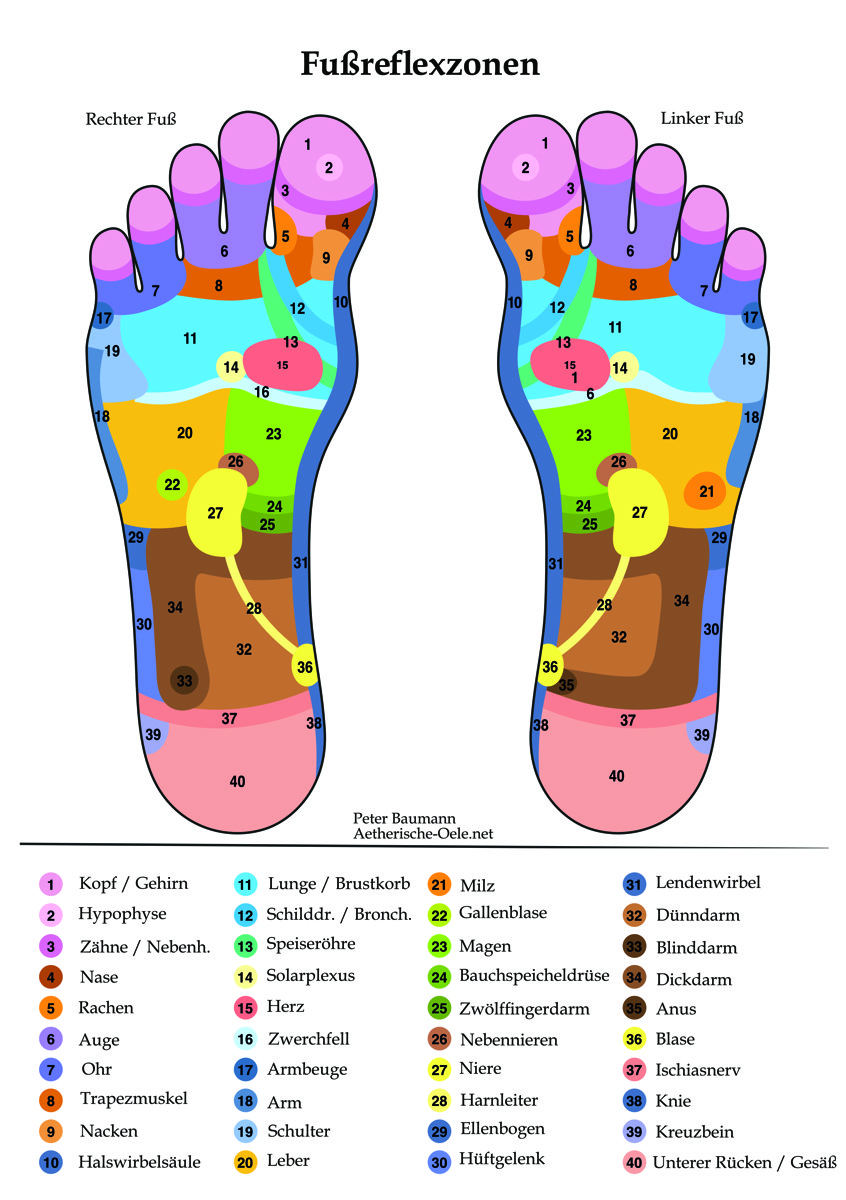 Fußreflexzonen-Karte mit allen 40 Reflexpunkten – Lernmaterial aus dem Kurs der Massageschule Baumann